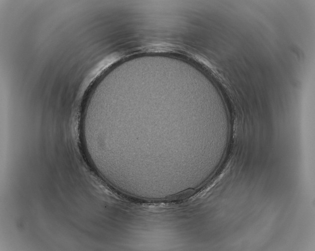 X0000113051410200909241446