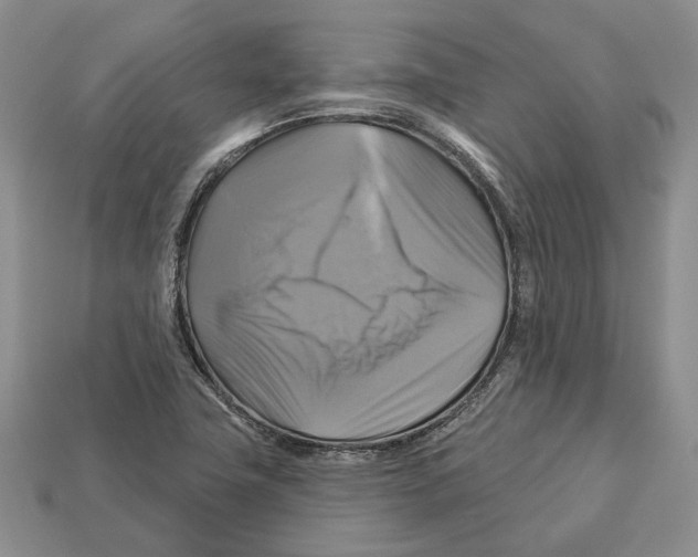 X0000113051411200909241446
