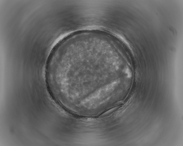 X0000113051412200909241446