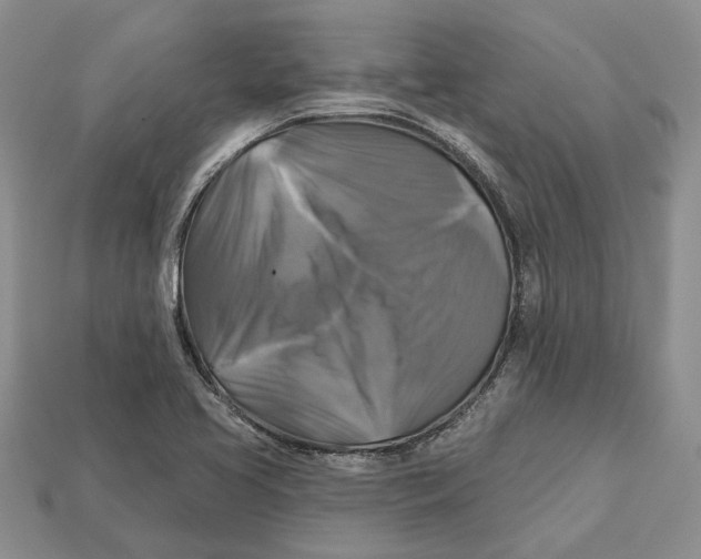 X0000113051413200909241446