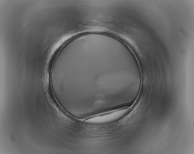 X0000113051414200909241446