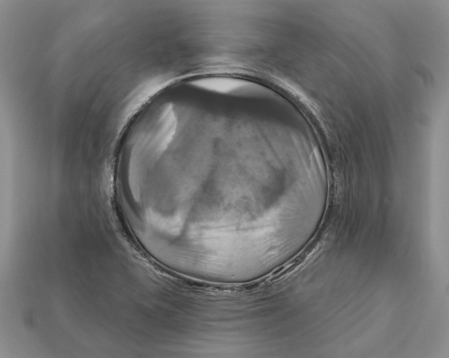 X0000113051415200909241446