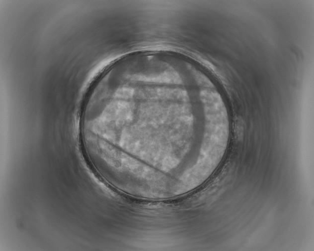 X0000113051416200909241446