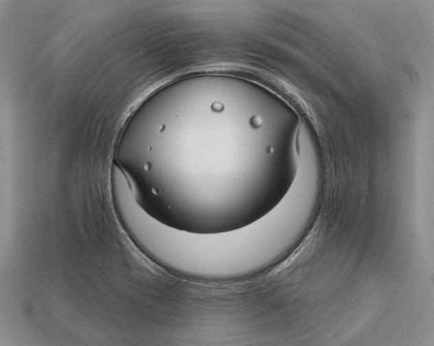 X0000113051417200909241446