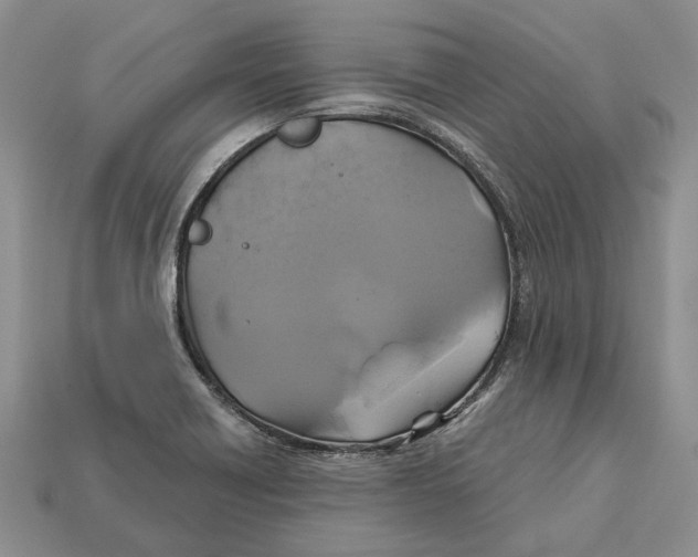 X0000113051418200909241446