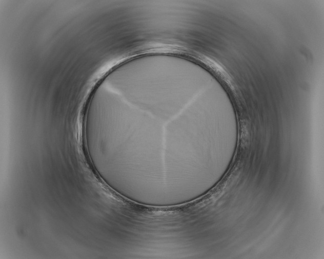 X0000113051419200909241446