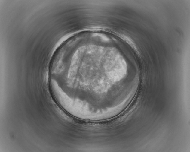 X0000113051420200909241446