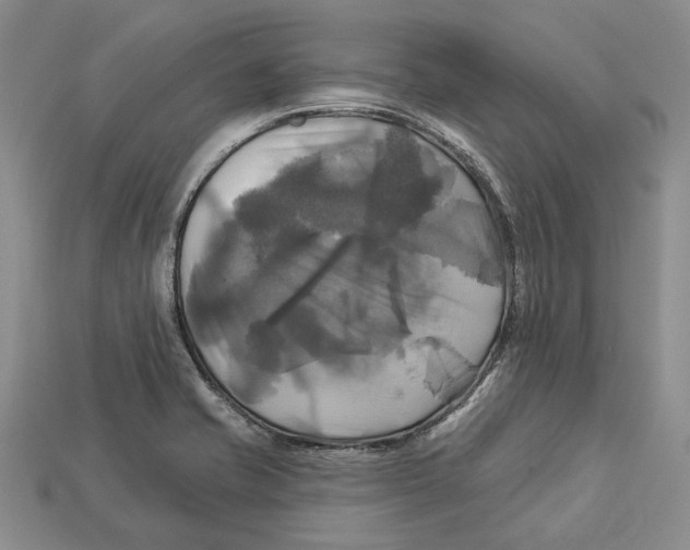X0000113051421200909241446