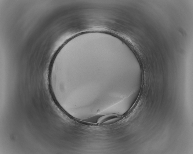 X0000113051422200909241446