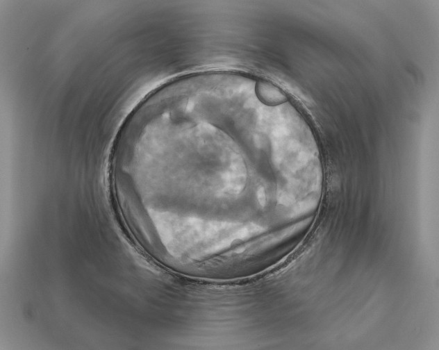 X0000113051423200909241446