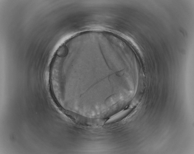 X0000113051424200909241446