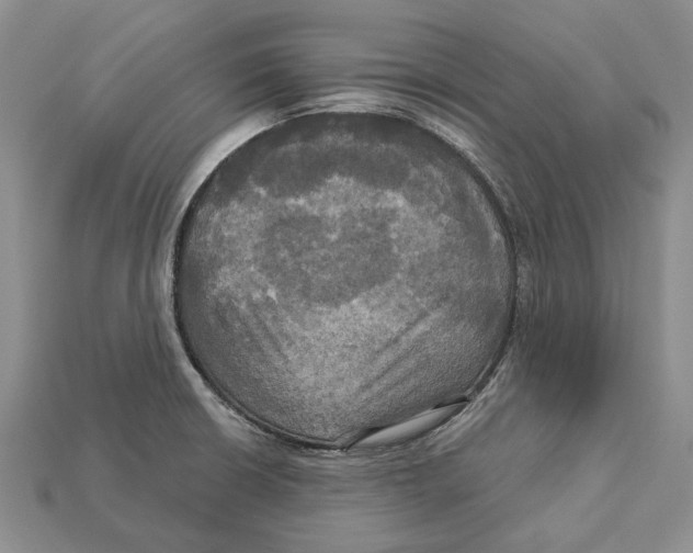 X0000113051426200909241446