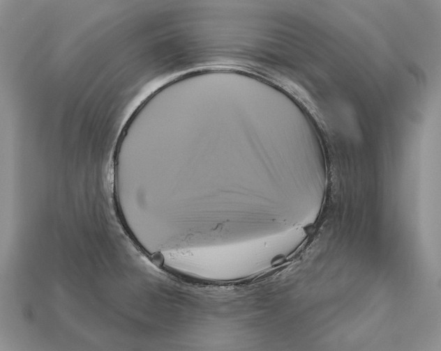 X0000113051428200909241446