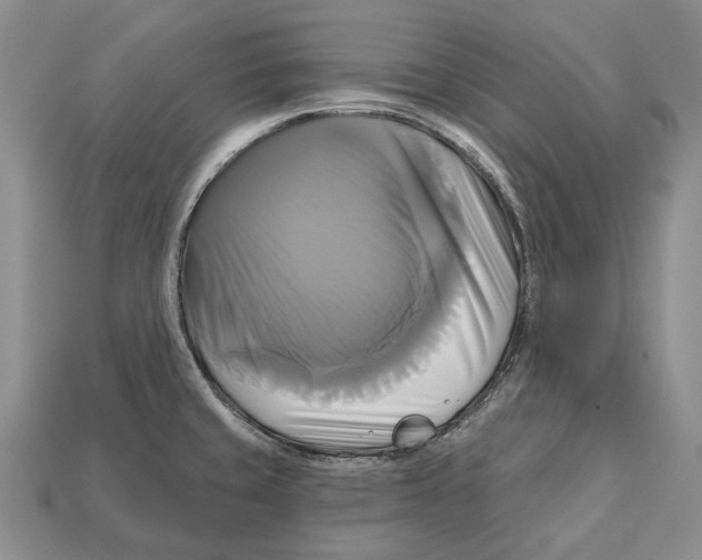 X0000113051429200909241446