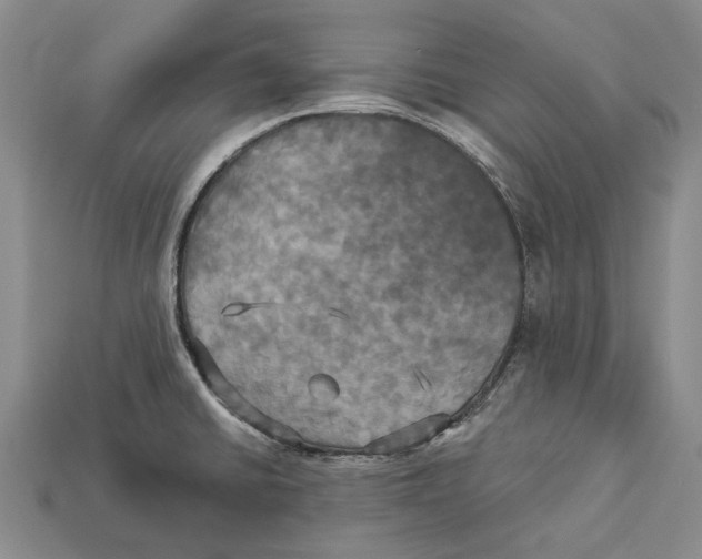 X0000113051430200909241446