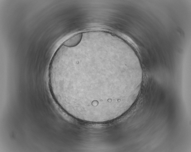 X0000113051431200909241446
