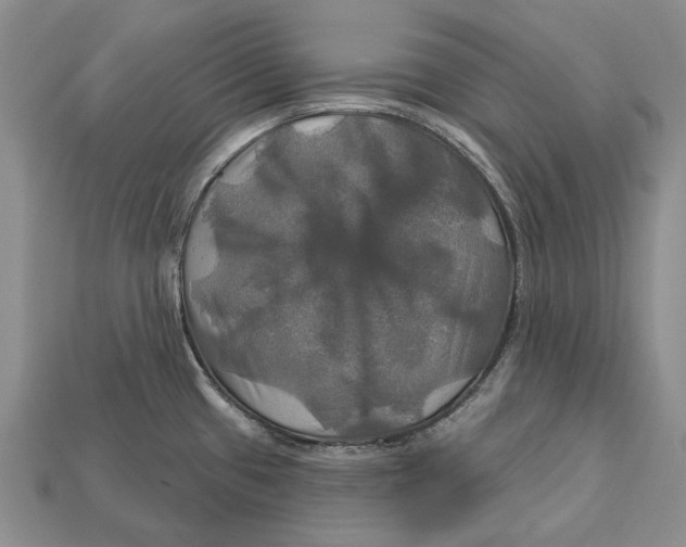 X0000113051433200909241446