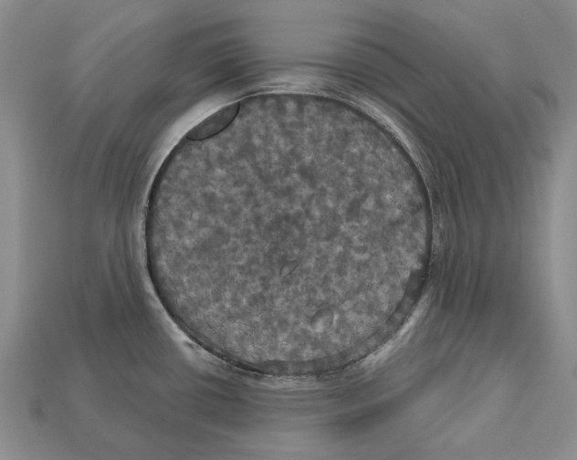 X0000113051434200909241446