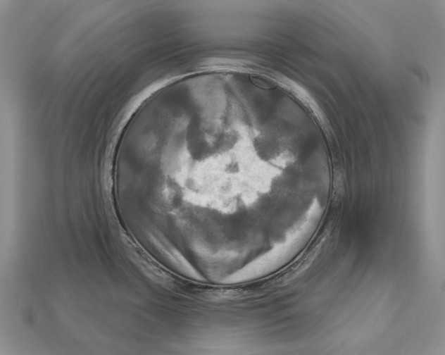 X0000113051435200909241446