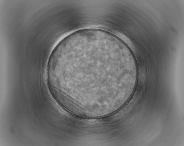 X0000113051436200909241446