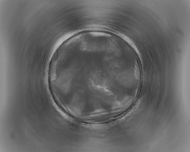 X0000113051437200909241446