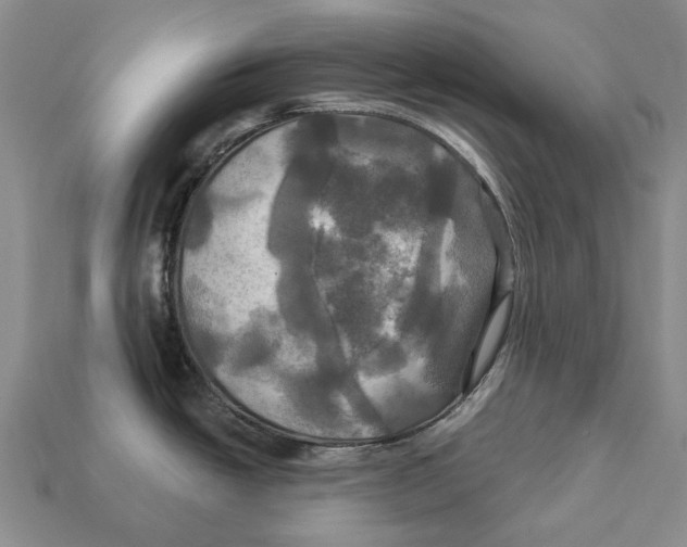 X0000113051438200909241446