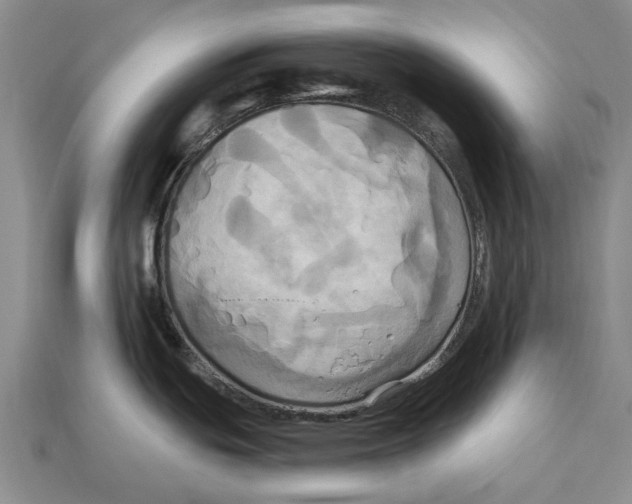 X0000113051439200909241446