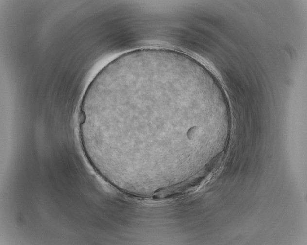 X0000113051440200909241446