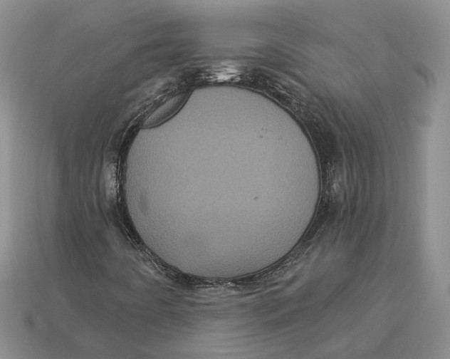 X0000113051442200909241445