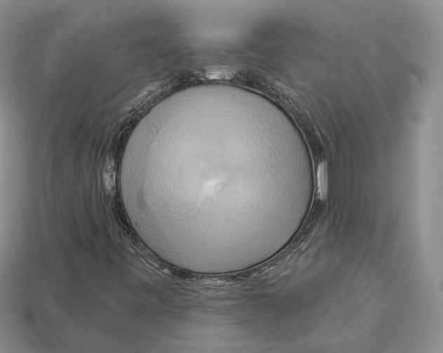 X0000113051443200909241445