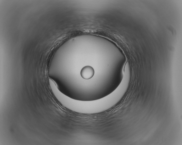 X0000113051444200909241445