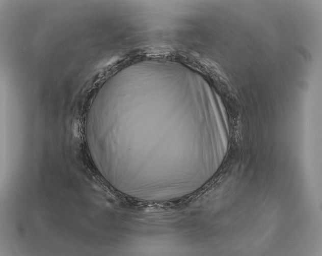 X0000113051445200909241445