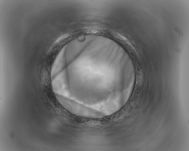 X0000113051446200909241445