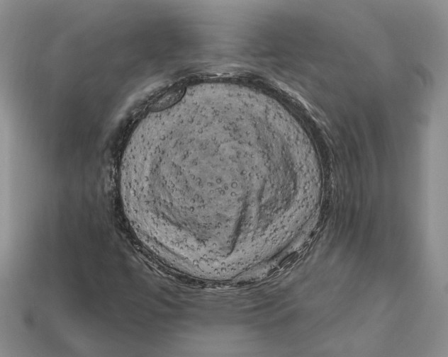 X0000113051447200909241445
