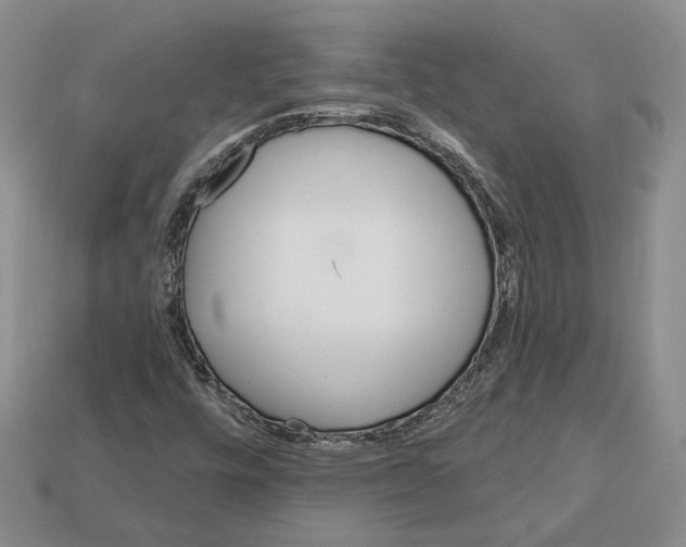 X0000113051448200909241445