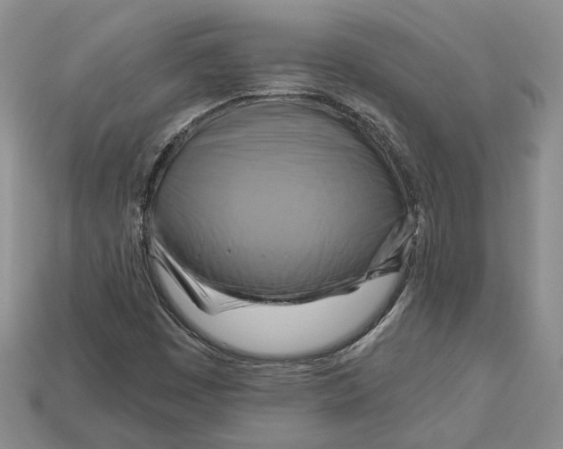 X0000113051449200909241445