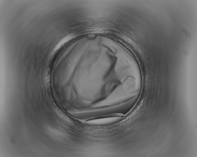 X0000113051450200909241445