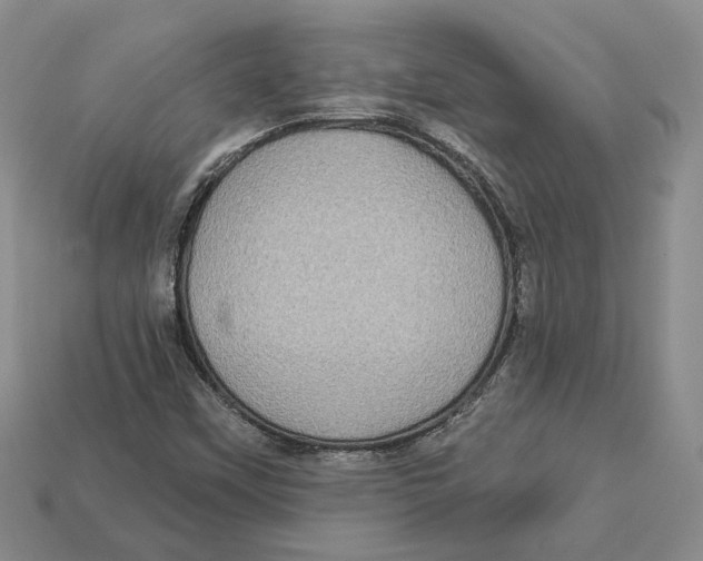 X0000113051451200909241445