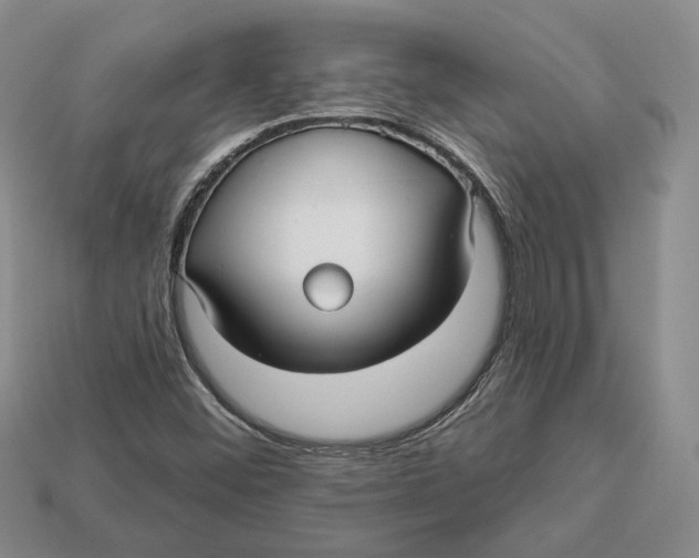 X0000113051452200909241445