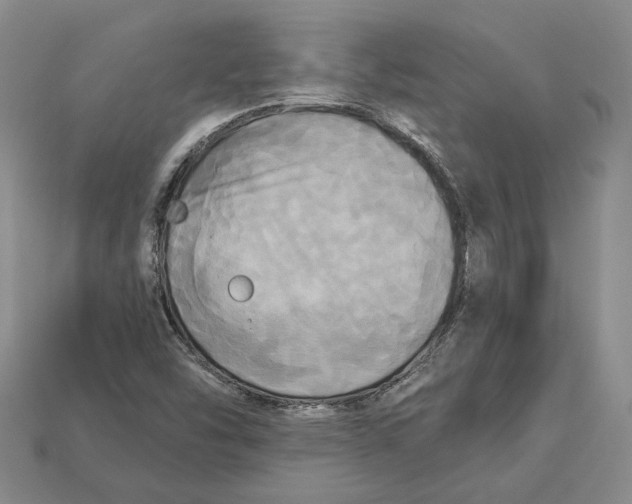 X0000113051454200909241445