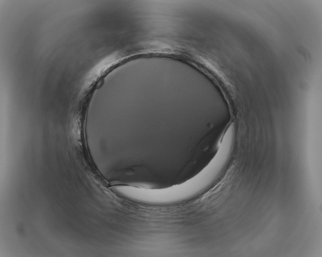 X0000113051455200909241445