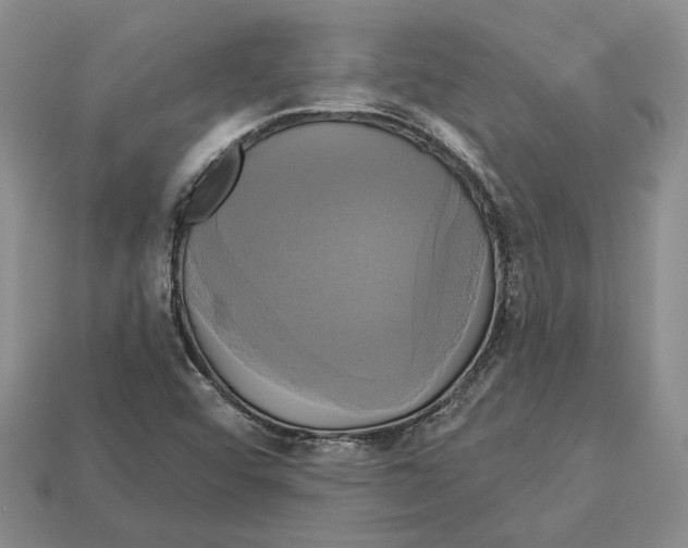 X0000113051456200909241445