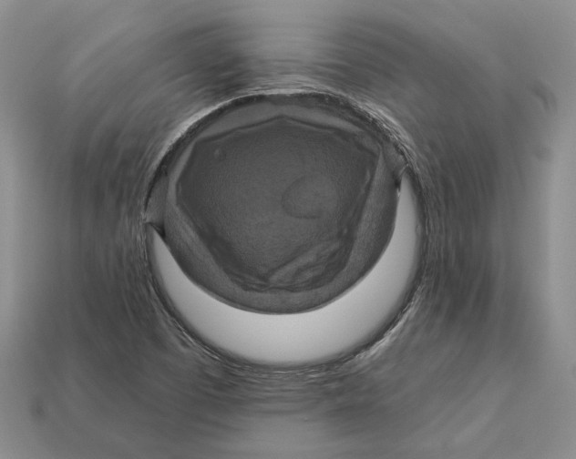 X0000113051457200909241445