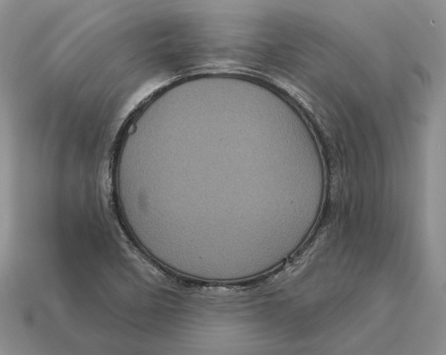 X0000113051458200909241445