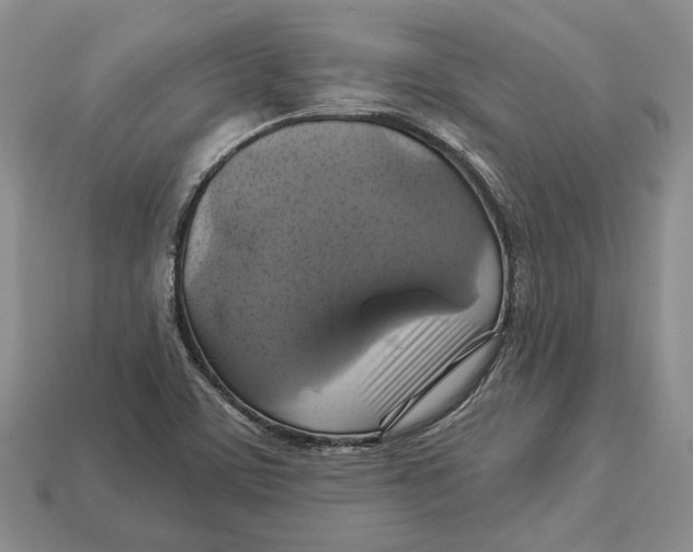 X0000113051459200909241445