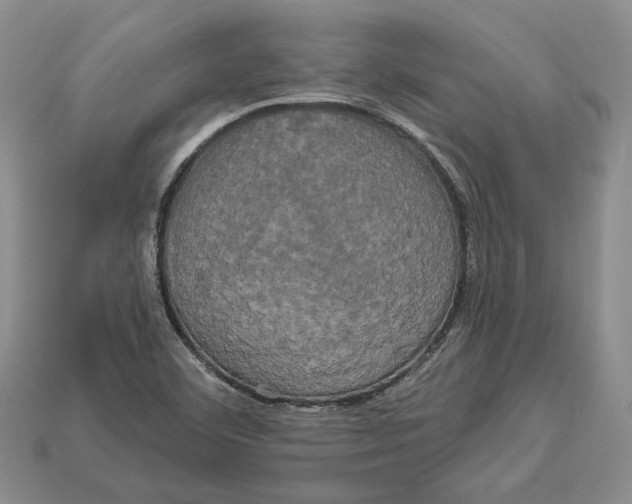 X0000113051460200909241445