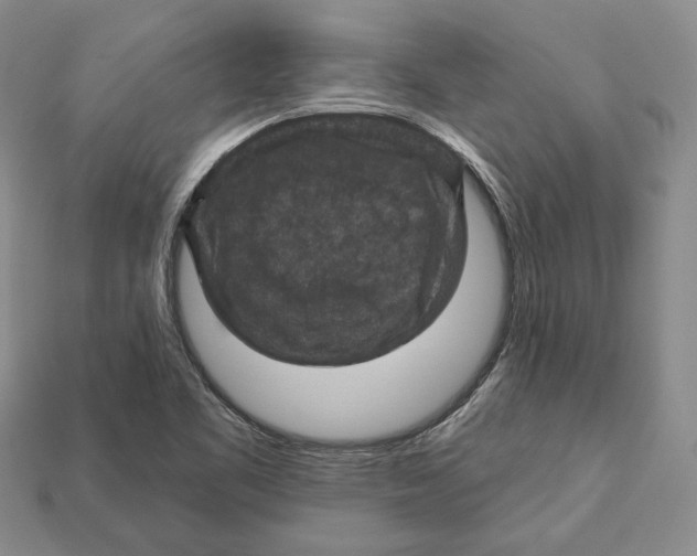 X0000113051461200909241445