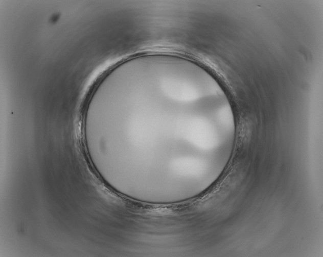 X0000113051462200909241445