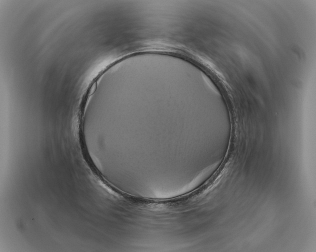 X0000113051463200909241445