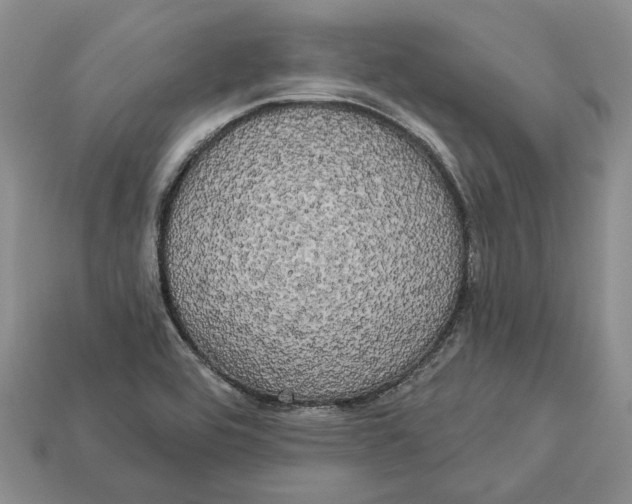 X0000113051464200909241445